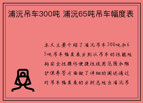 浦沅吊车300吨 浦沅65吨吊车幅度表